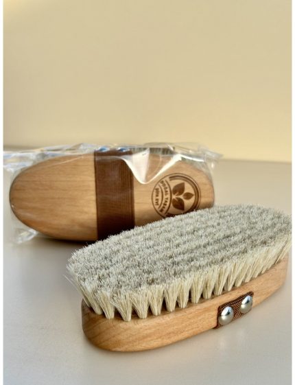 At Kılı Fırçası ( vücut )