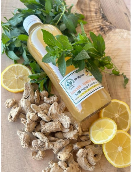 Zencefil - Limon - Nane sirkesi3-458x599