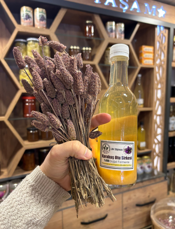 karabaş otu sirkesi