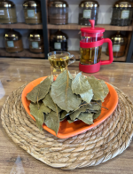 Avokado Yaprağı