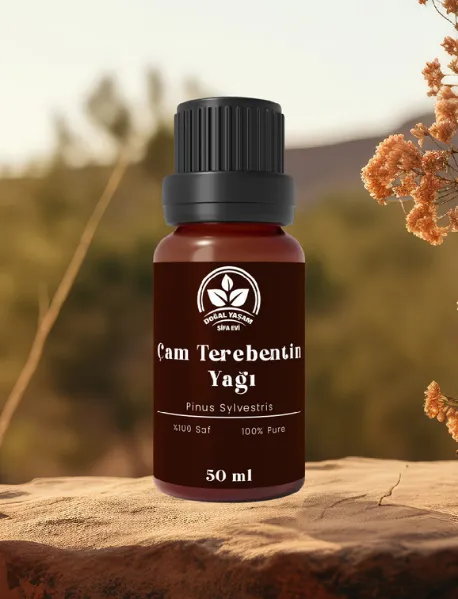 Çam Terebentin Yağı Çam Terebentin Yağı
